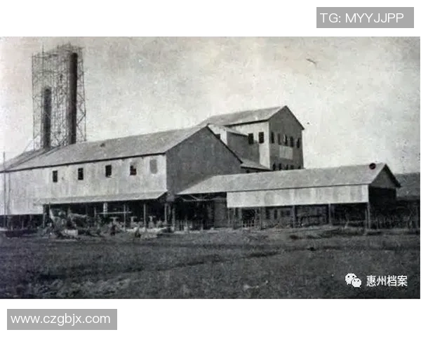 杭州乒乓球队的辉煌征程与突破成就全景回顾